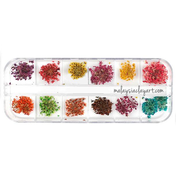 DIY Dried Flower Set - 12 Colors